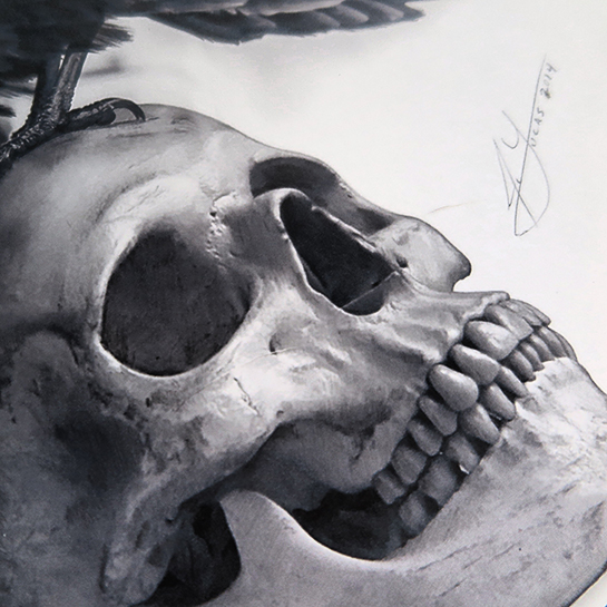 545x545 The Raven And The Skull - Black And White Pencil Sketch