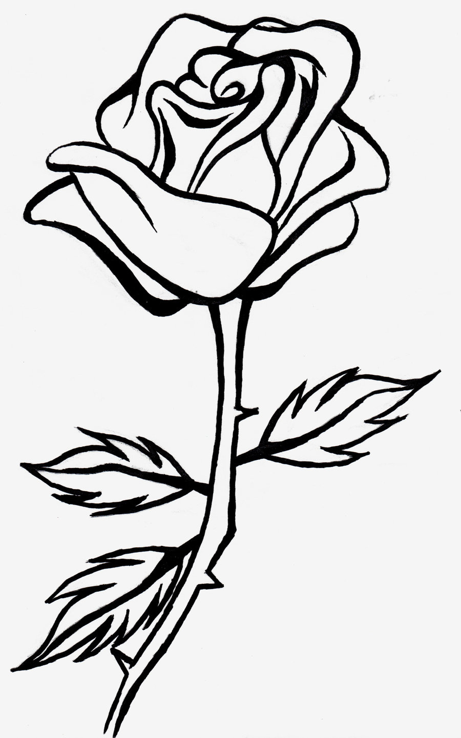 900x1441 Rose Black And White Drawing Rose Clipart Black And White - Black And White Rose Sketch