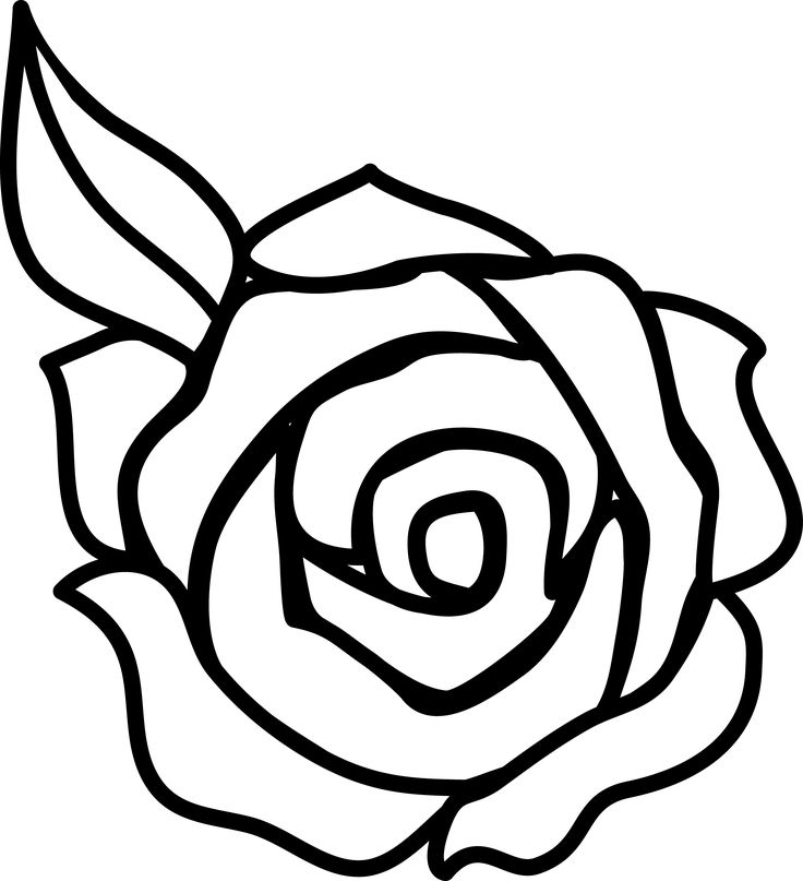 736x807 White Rose Clipart Decorative - Black And White Rose Sketch