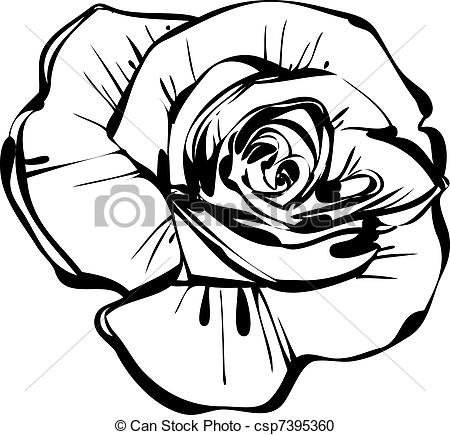 450x435 White Rose Clipart Sketch - Black And White Rose Sketch