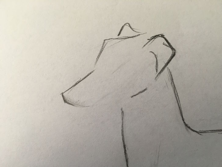 728x546 How To Draw Greyhounds (With Pictures) - Black And White Sketch Pictures