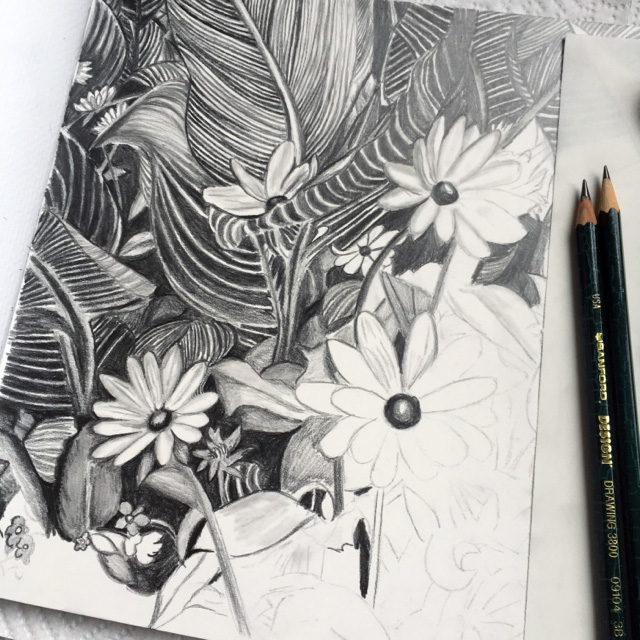 640x640 Flower Sketch Carrie Kelley Art - Black And White Sketch Pictures