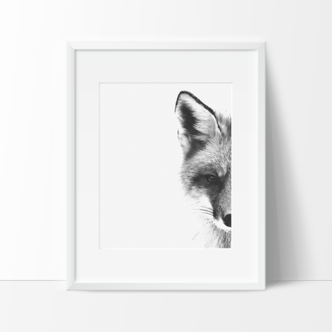 480x480 Up Close Fox Digital Sketch In Black And White, Wall Art, Modern - Black And White Sketch Print