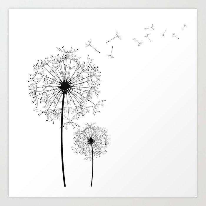700x700 Black And White Dandelion Sketch Art Print By - Black And White Sketch Print