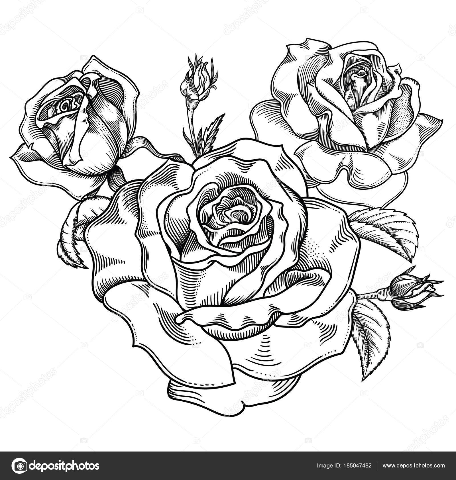 1600x1685 Rose Flower Black And White Drawing Gallery Easy Rose Drawings In - Black And White Sketches Of Flowers