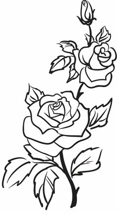 236x426 White Rose Clipart Flower Drawing - Black And White Sketches Of Flowers