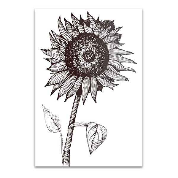 600x600 Sunflower Sketch Art Print And Bedroom Canvas Art - Black And White Sunflower Sketch