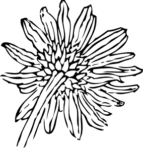 288x298 15 Drawing Sunflowers Sketch For Free Download On Mbtskoudsalg - Black And White Sunflower Sketch