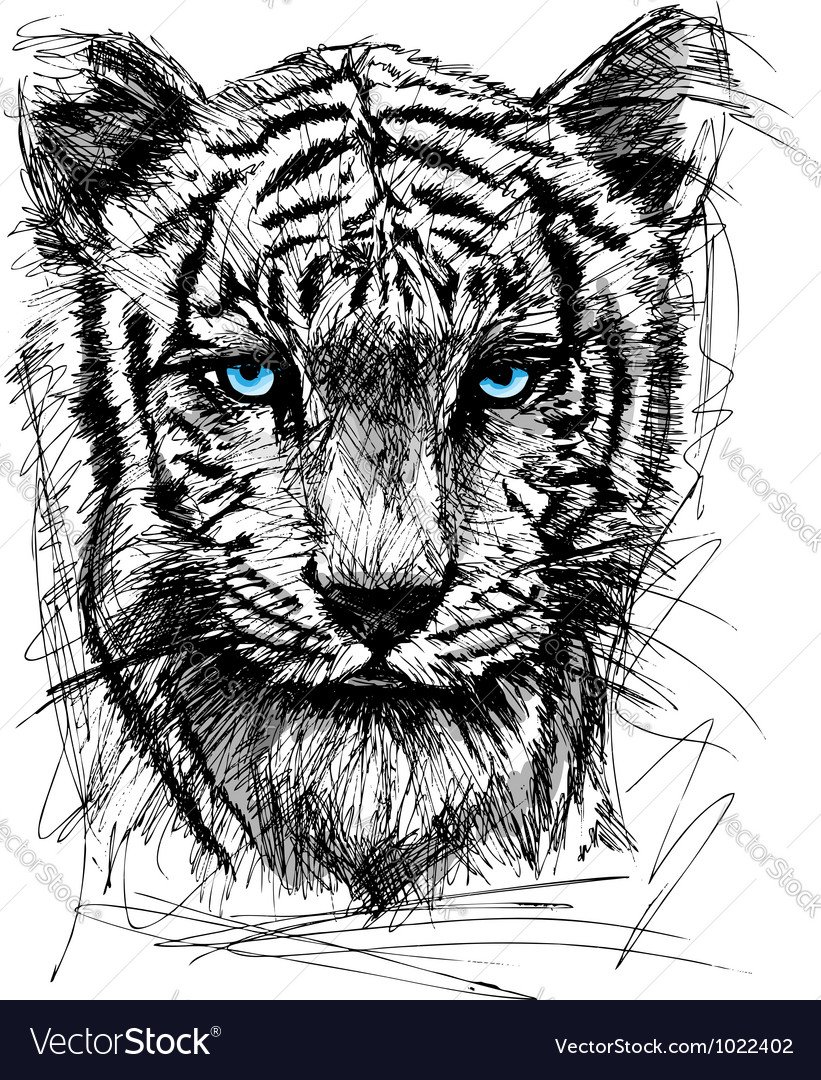 821x1080 Drawn White Tiger Jungle Drawing 9 - Black And White Tiger Sketch