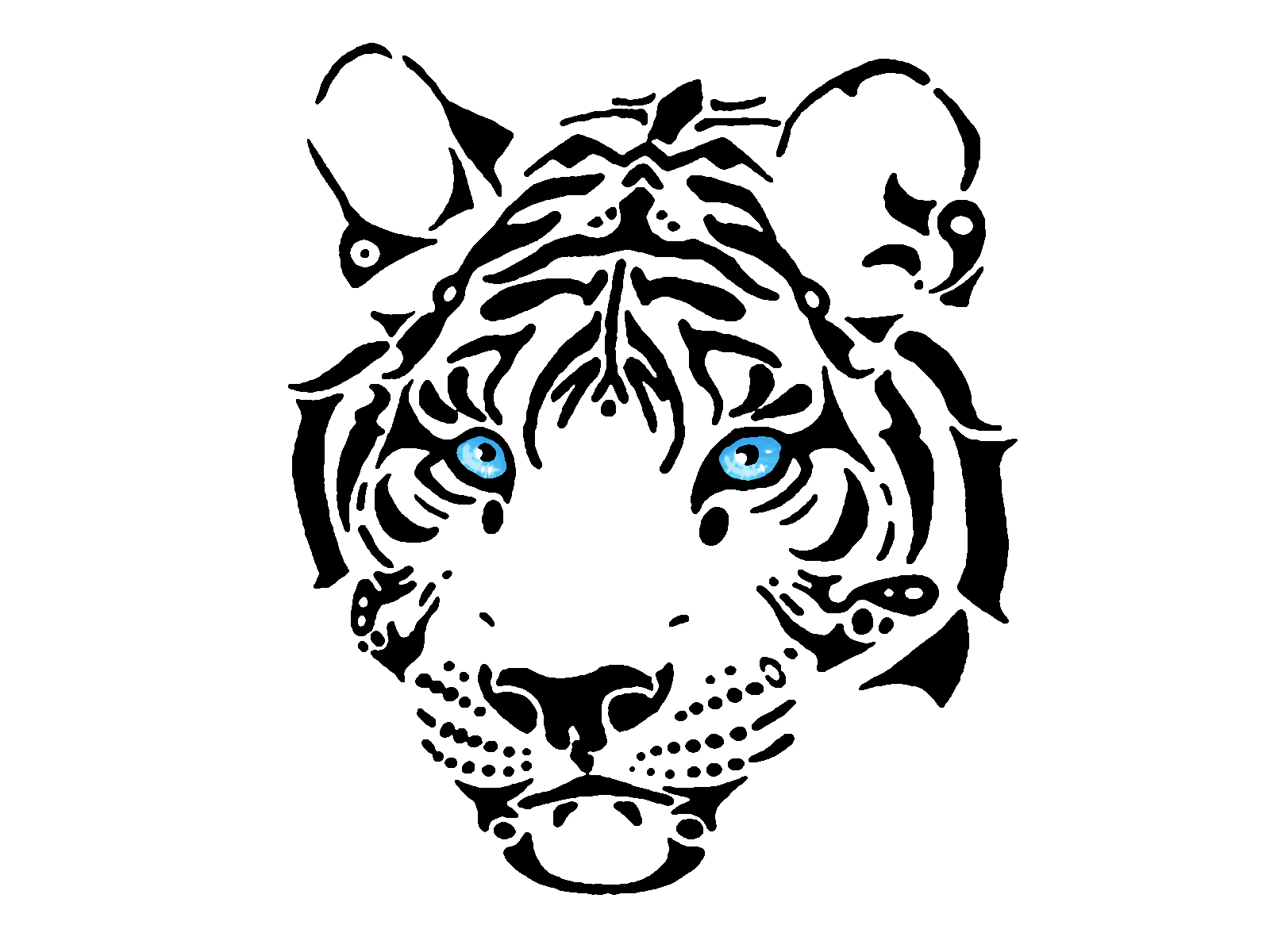 1600x1200 Drawn White Tiger Blue Eye Drawing - Black And White Tiger Sketch