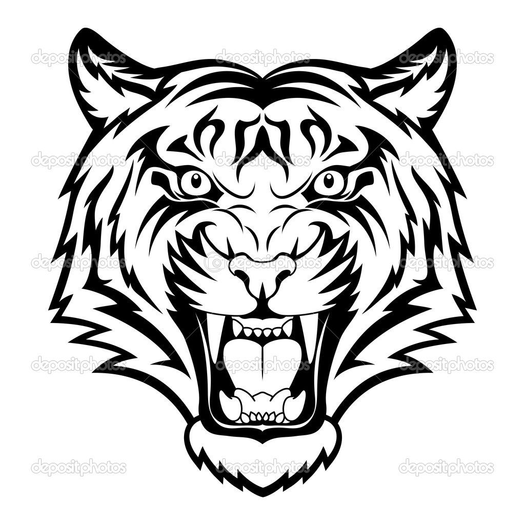 1024x1024 White Tiger Drawings White Tiger Face Drawing Stuff To Buy - Black And White Tiger Sketch