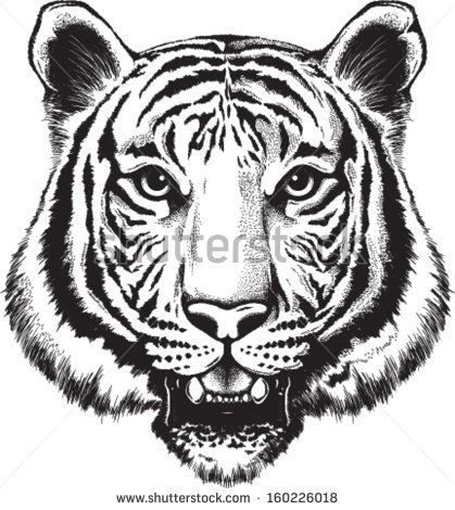 419x470 Black And White Tiger Tattoo Sketch Dibujos Tiger - Black And White Tiger Sketch