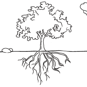 300x300 Drawn Roots Tree Sketch - Black And White Tree Sketch