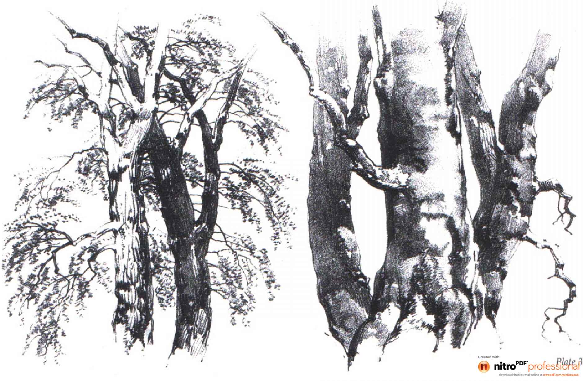 1880x1228 Super Heroes Black And White Sketches - Black And White Tree Sketch