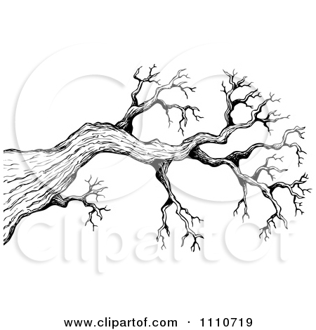 450x470 Collection Of Free Branches Clipart Sketch. Download On Ubisafe - Black And White Tree Sketch