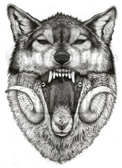 400x553 Black And White Wolf Drawings - Black And White Wolf Sketch