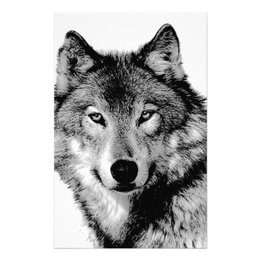 Black And White Wolf Sketch At Paintingvalleycom Explore