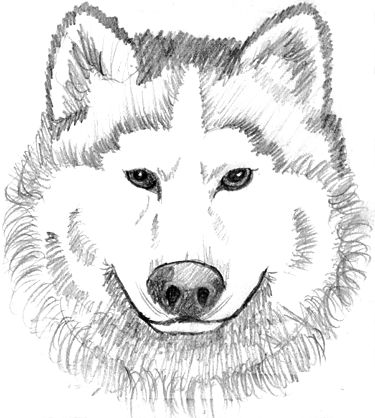 375x418 White Wolf Clipart Wolf Moon - Black And White Wolf Sketch