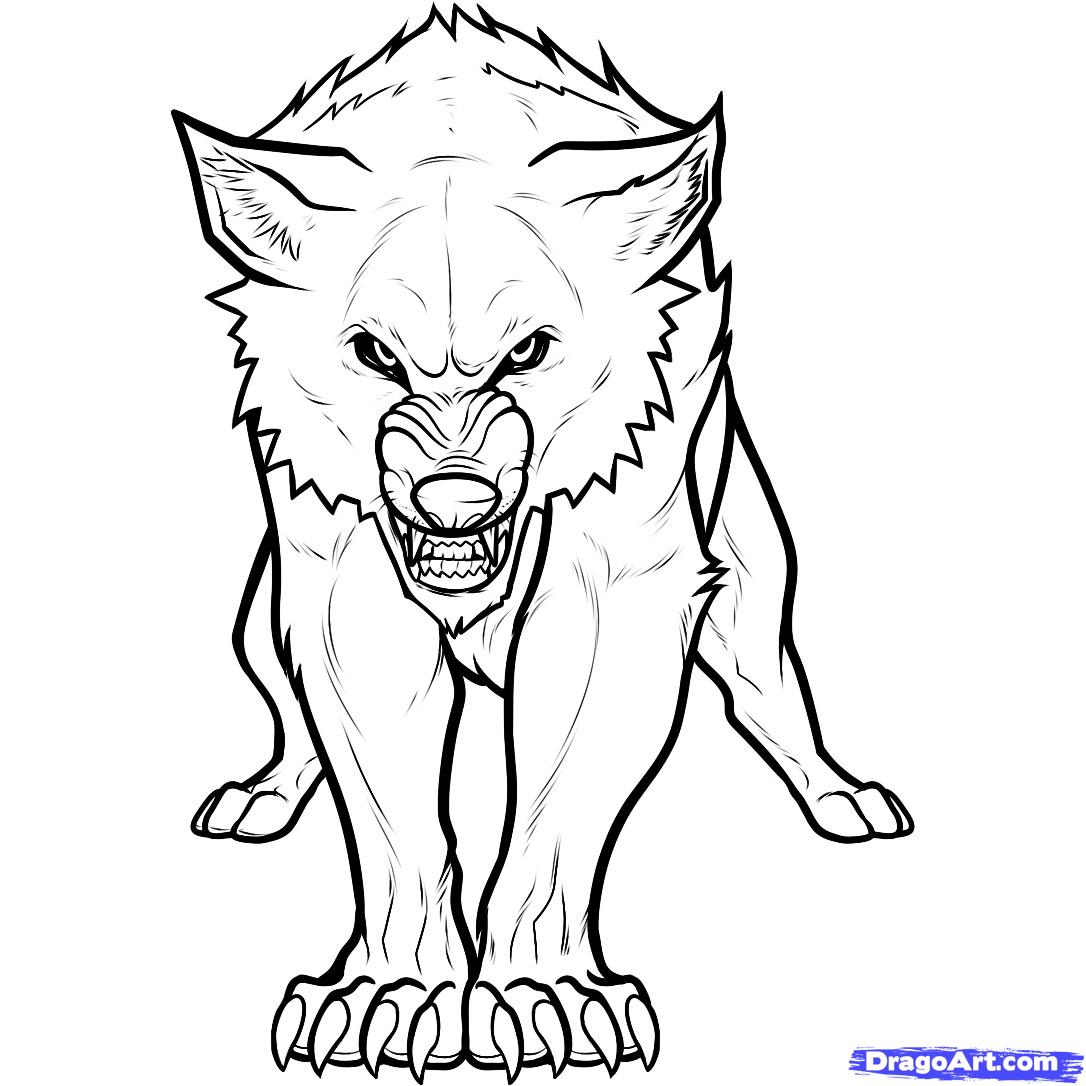 1086x1086 Collection Of Black Wolf Drawing Easy High Quality, Free - Black And White Wolf Sketch