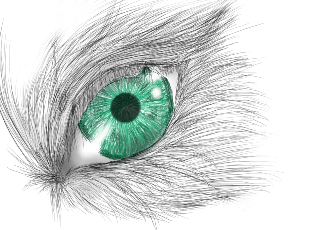 640x460 Greenlue Wolf Eyes By Animedemon (Black White Drawing) - Black And White Wolf Sketch