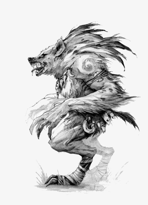 Black And White Wolf Sketch at PaintingValley.com | Explore collection ...