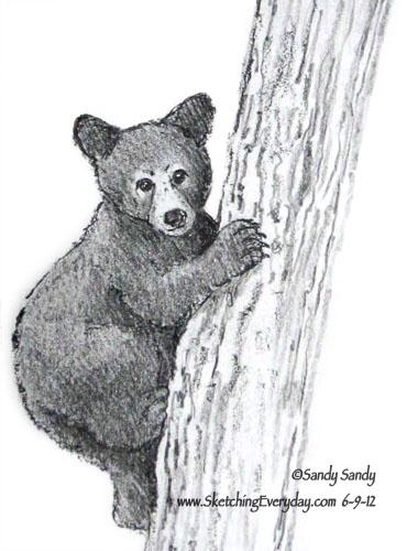 370x500 Drawing Everyday Lions, Tigers And Bears, Oh My! - Black Bear Sketch