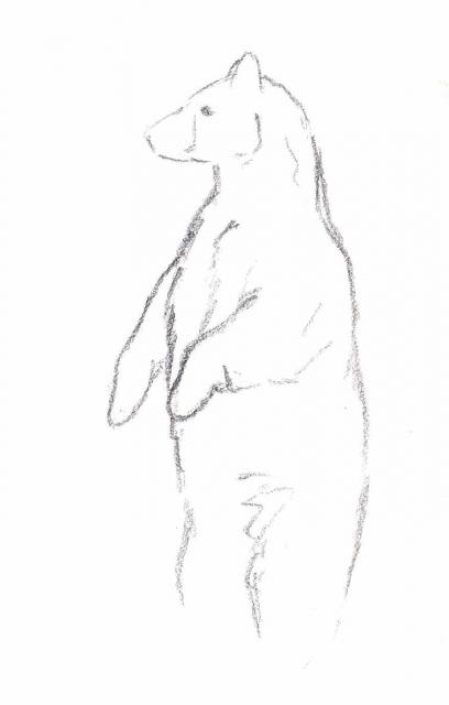 408x640 Standing Black Bear Sketch - Black Bear Sketch