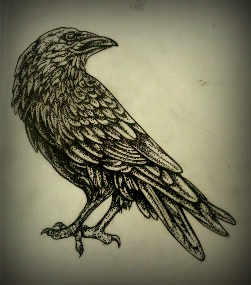 828x940 Blackbird Drawing Tattoo - Black Bird Sketch