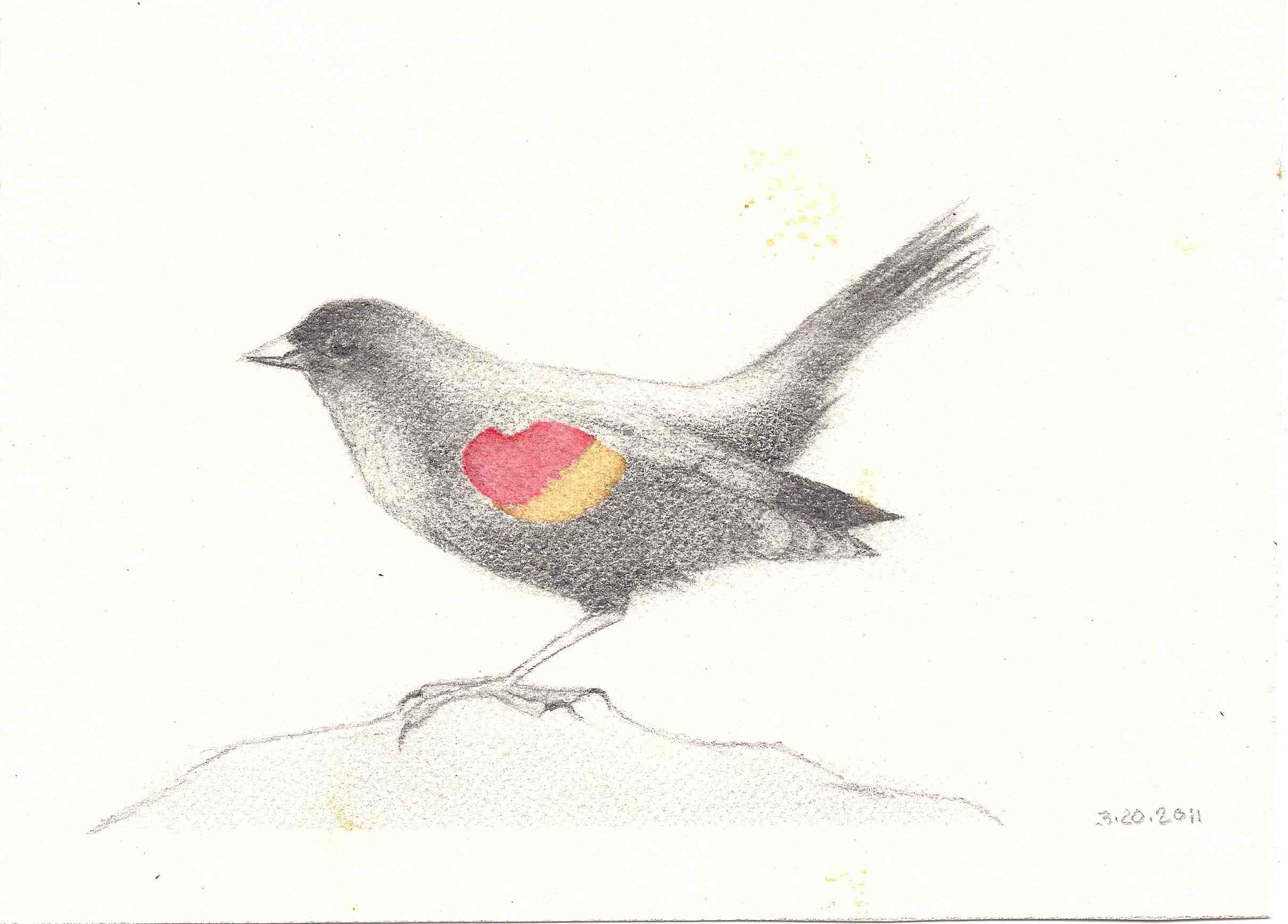 2420x1736 Day Eighty Two, Red Winged Blackbird Sketchjay - Black Bird Sketch