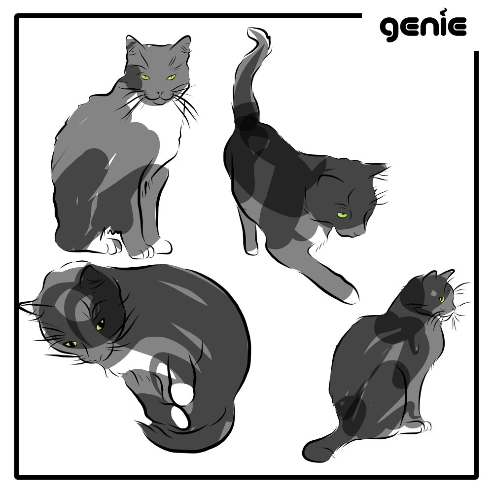 1000x1000 Black Cat Vector Graphic Illustration Hand Drawn Drawing Sketch - Black Cat Sketch