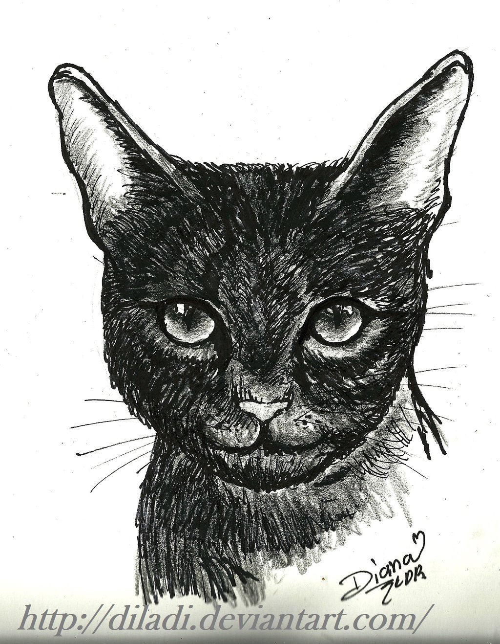 1024x1317 Black Cat By Diladi - Black Cat Sketch