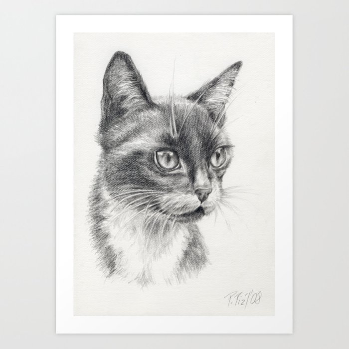 700x700 Black Cat Portrait Black Amp White Graphite Pencil Drawing Decor For - Black Cat Sketch