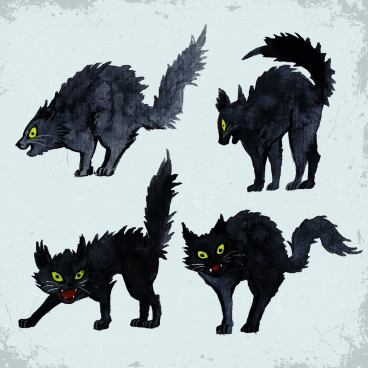 368x368 Black Cat Drawing Free Vector Download (94,820 Free Vector) For - Black Cat Sketch