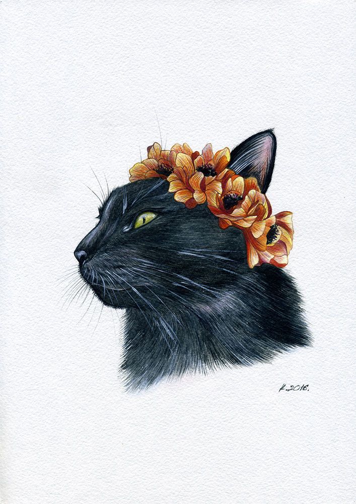 707x1000 Cat, Black Cat, Flowers, Watercolor Original Painting Art, Artist - Black Cat Sketch