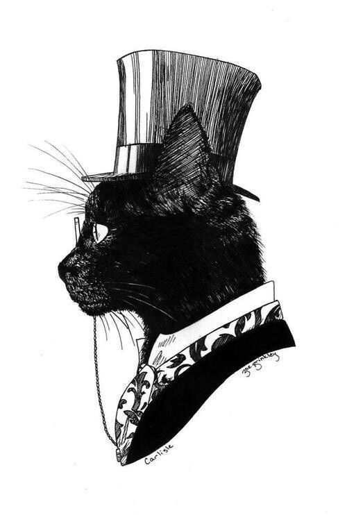 500x742 Black Cat Drawing Tumblr - Black Cat Sketch