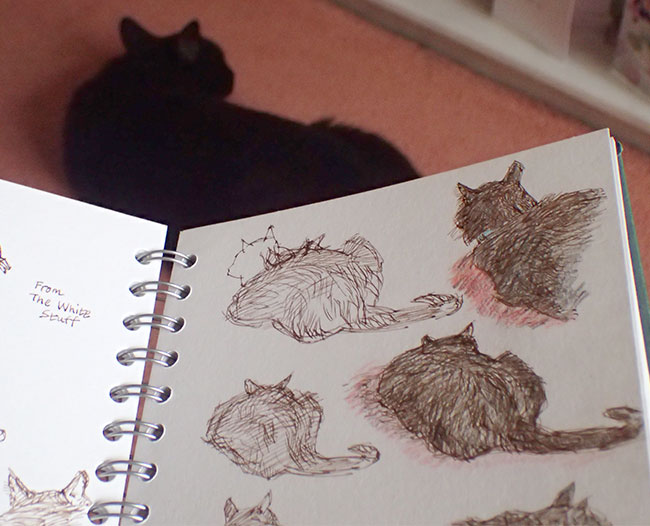 650x526 Black Cat Sketch Wild Yorkshire - Black Cat Sketch