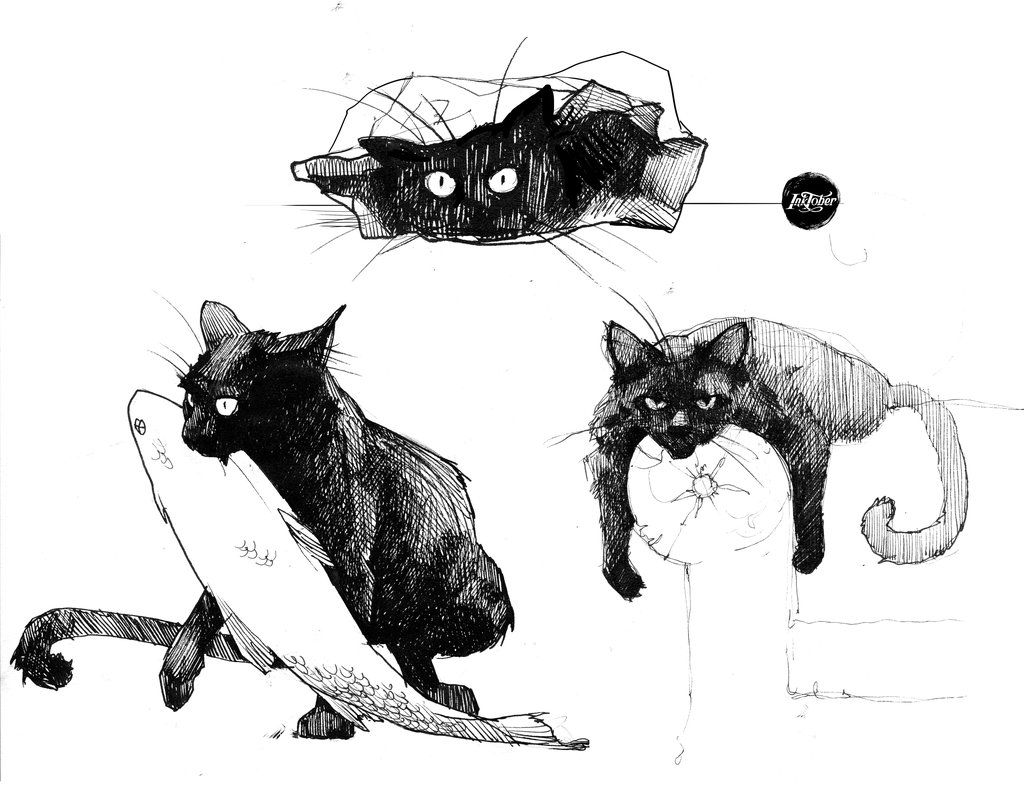 1024x796 Inktober Cats By Rheann Ltdrawgt Cats, Cat Art And - Black Cat Sketch