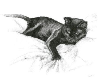 340x270 Animal Sketches Cat Art Prints Black And White Pen And Ink Etsy - Black Cat Sketch