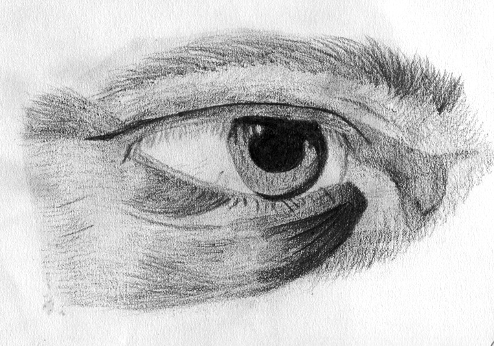 719x503 Black Eye Sketch By Wrenchy - Black Eye Sketch