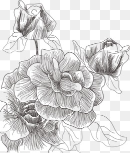 260x304 Flower Sketch Png, Vectors, Psd, And Clipart For Free Download - Black Flower Sketch
