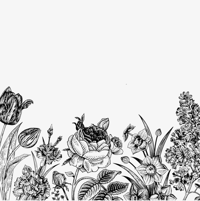 650x651 Free Flower Sketch Pull Material, Sketch, Black And White, Flowers - Black Flower Sketch
