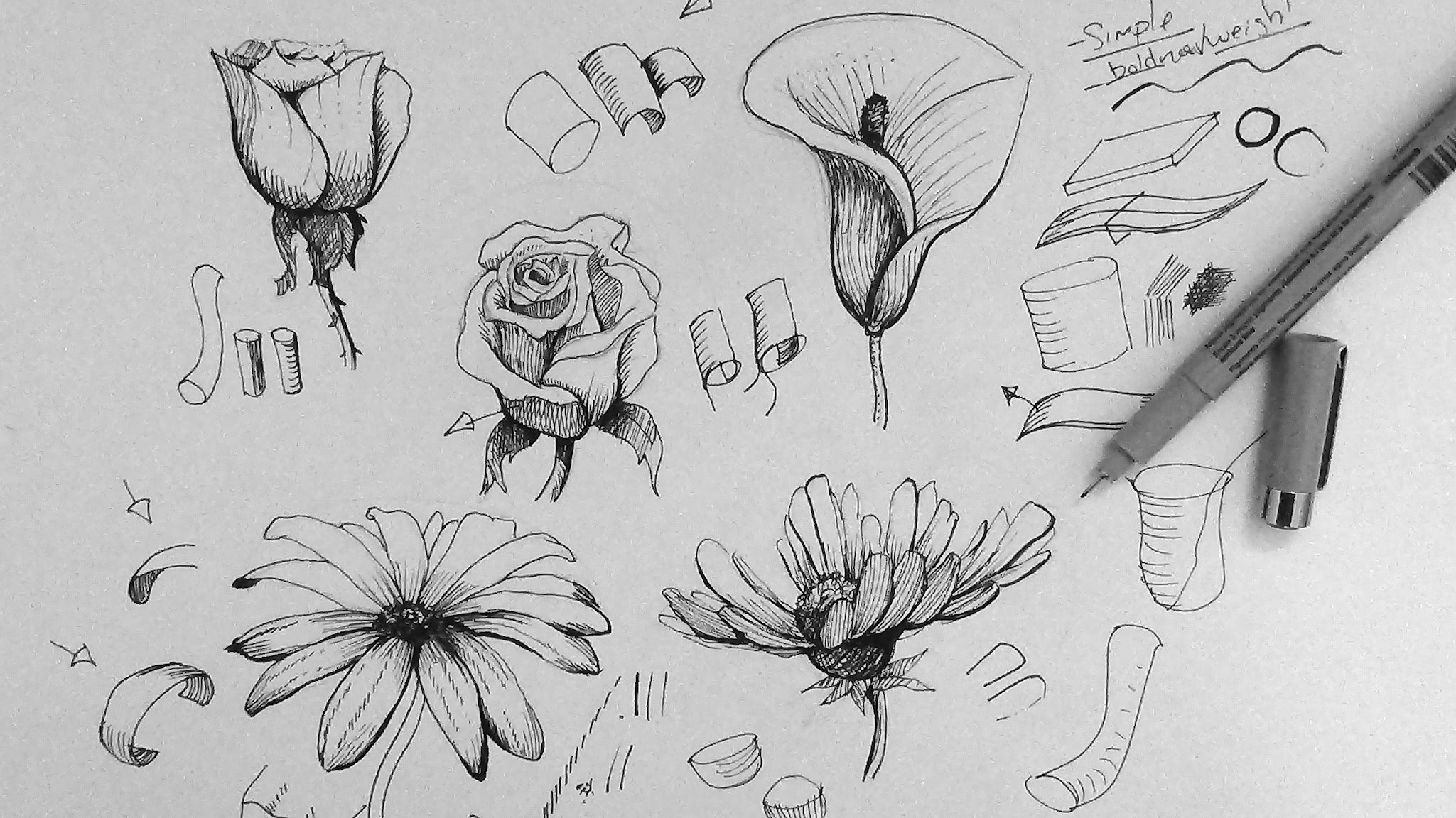 2049x1152 Pen Amp Ink Drawing Tutorial How To Draw Flowers Part 1 - Black Flower Sketch