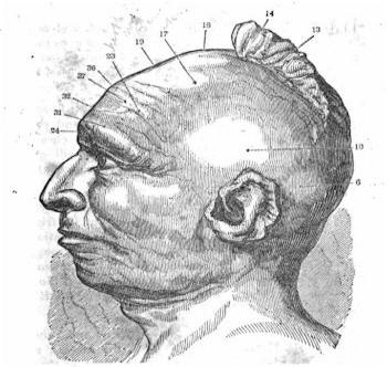 350x332 Captive Chieftain Black Hawk - Black Hawk Sketch