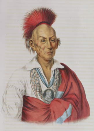 325x450 Black Hawk Life Amp War - Black Hawk Sketch