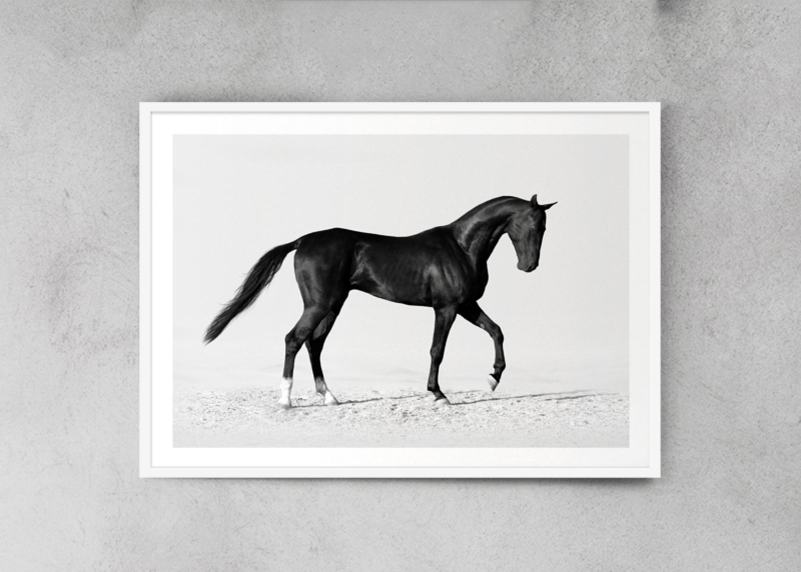 1600x1144 Black Horse - Black Horse Sketch