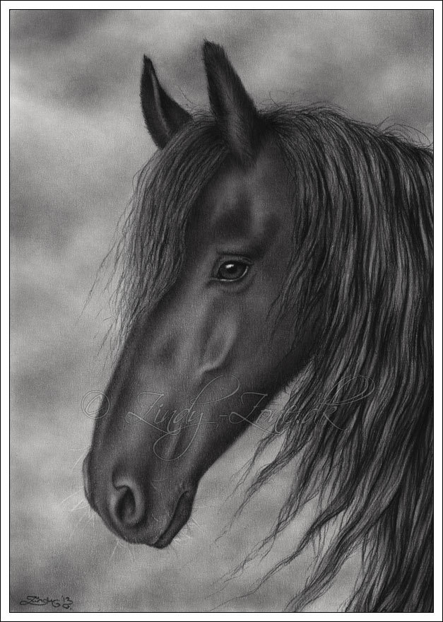 Black Horse Sketch at PaintingValley.com | Explore collection of Black ...