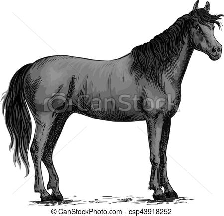 450x433 Black Wild Horse Standing Vector Sketch. Horse Vector Sketch - Black Horse Sketch