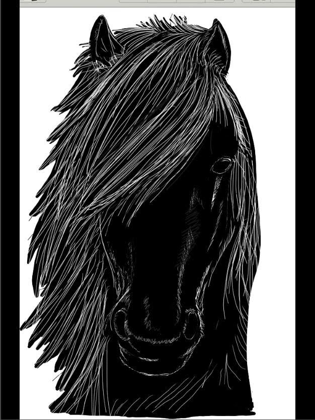 626x835 Galaxy Note 2 Drawing Black Beauty Horse Sketch - Black Horse Sketch