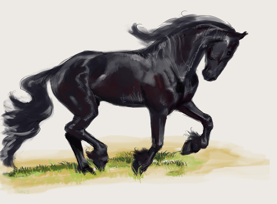900x663 Studio Smugbug Black Horse - Black Horse Sketch