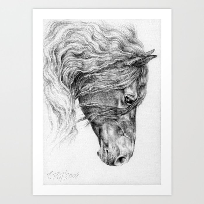 700x700 Black Friesian Horse Portrait Black Amp White Pencil Drawing Art - Black Horse Sketch